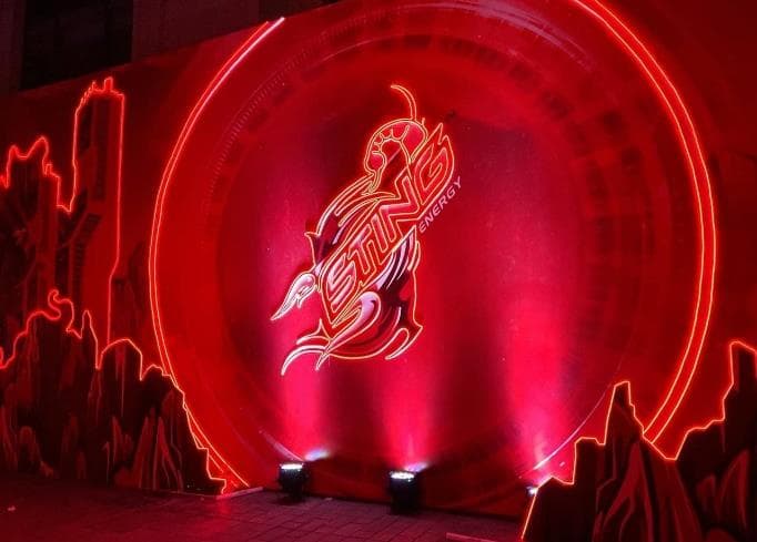 Sting Musicverse Concert by VIP Decor, photo 3